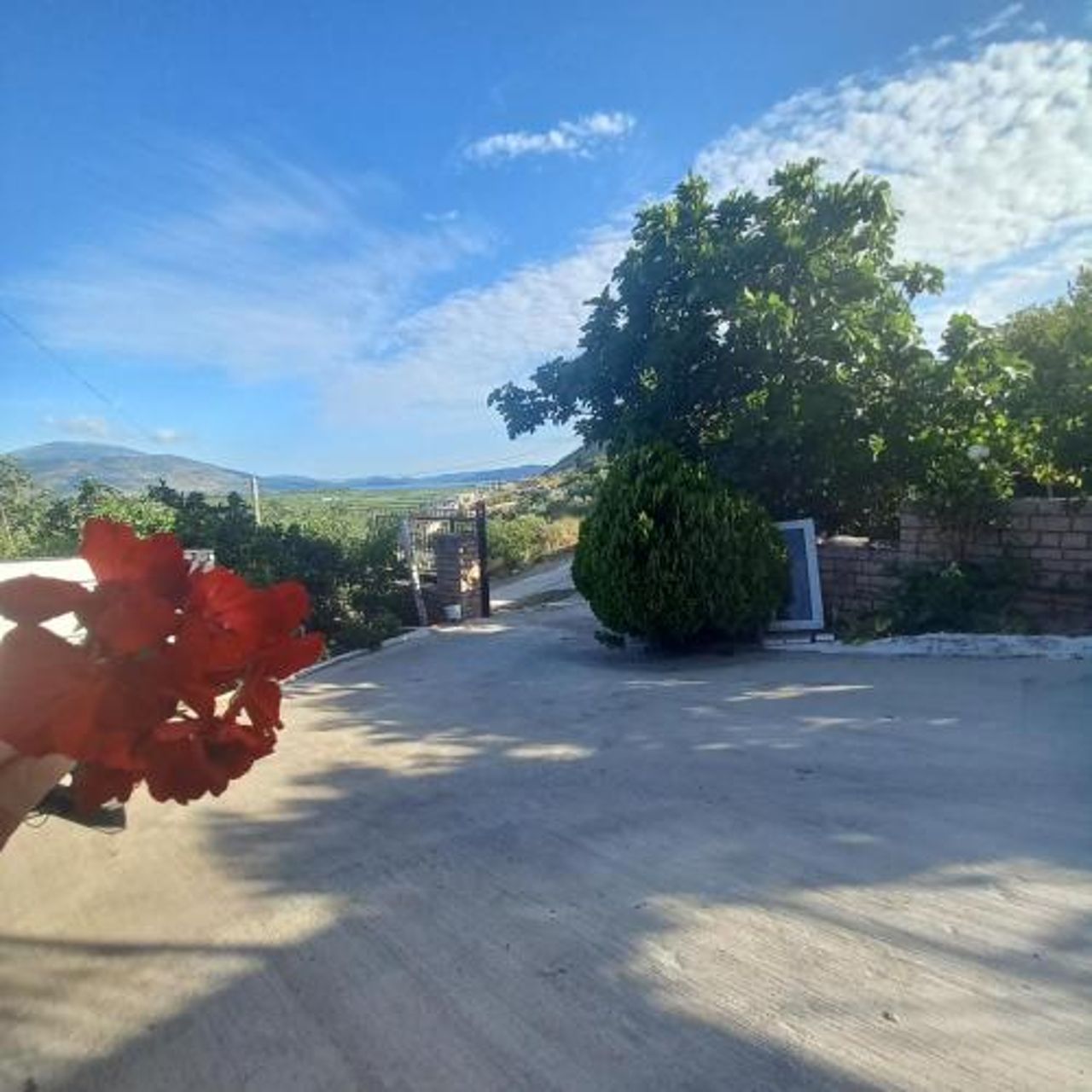 Vila Pasha