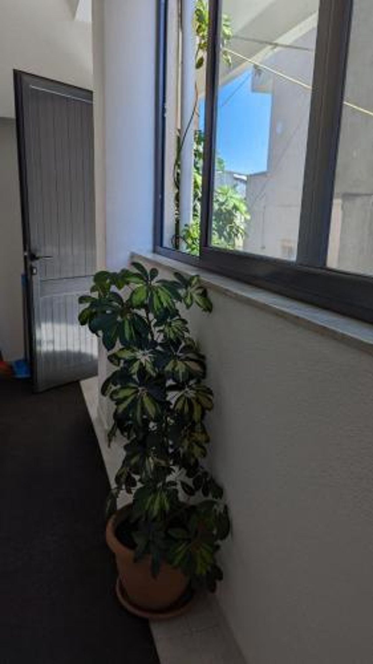 Guest House AZA