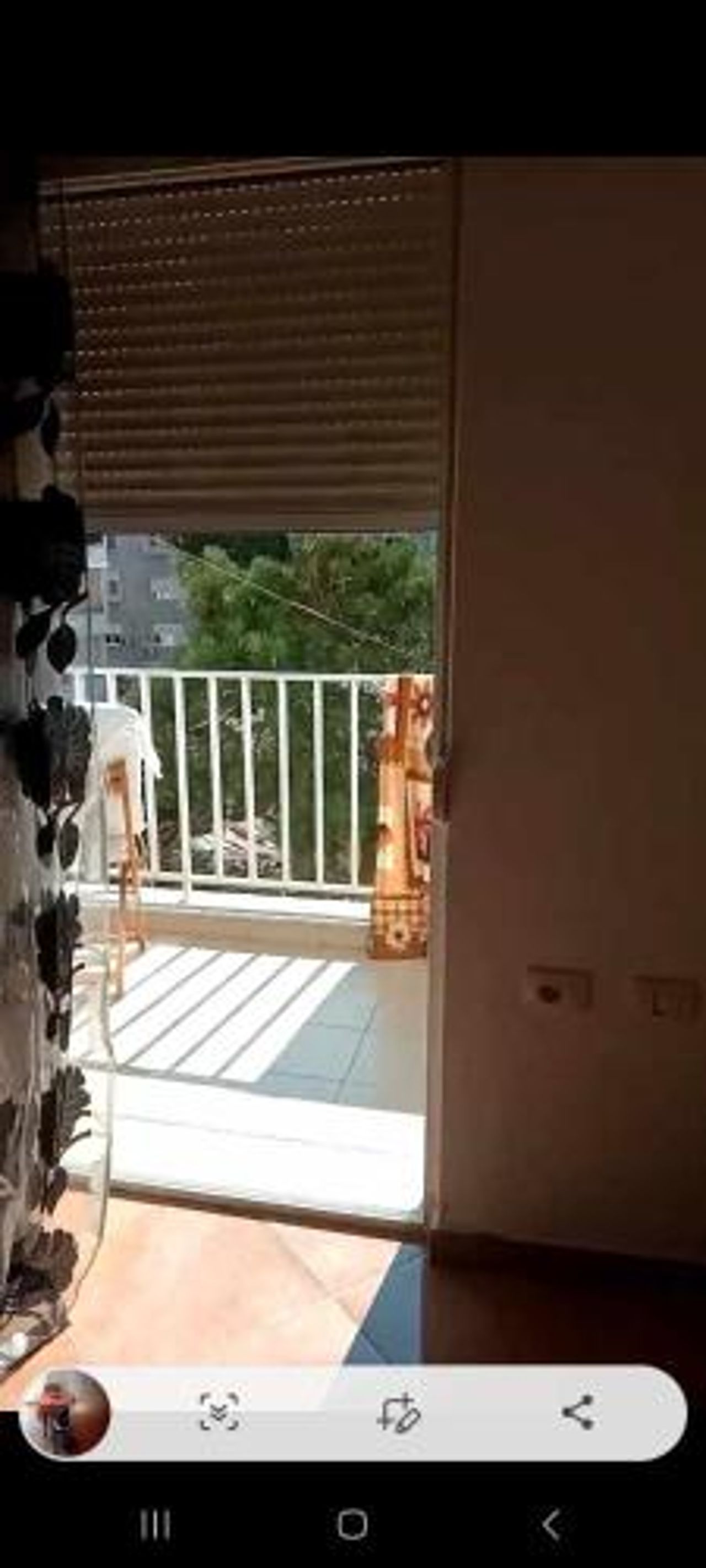 Sofia's apartment
