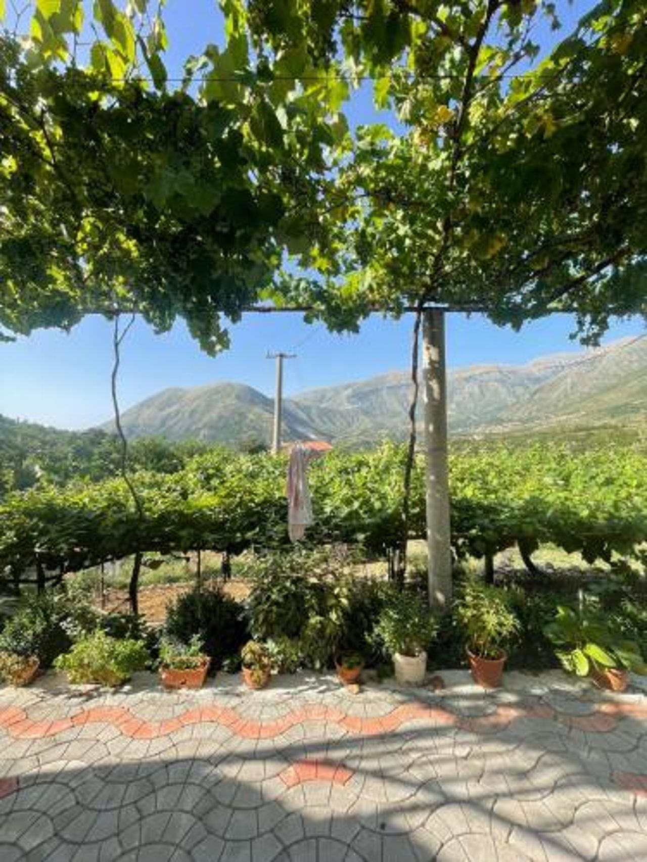 Appartament Dukat Albania