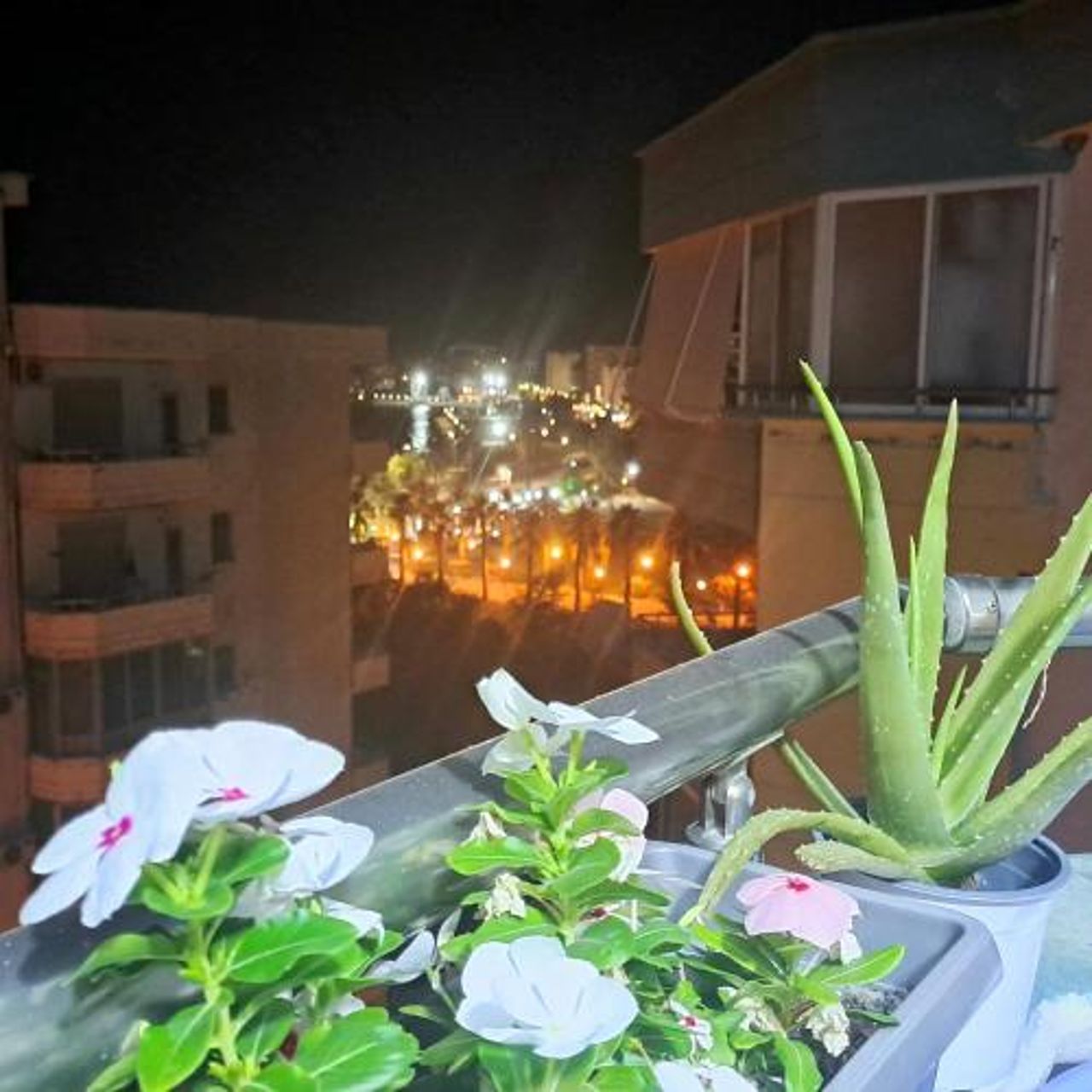 Sea view Apartment Lungomare