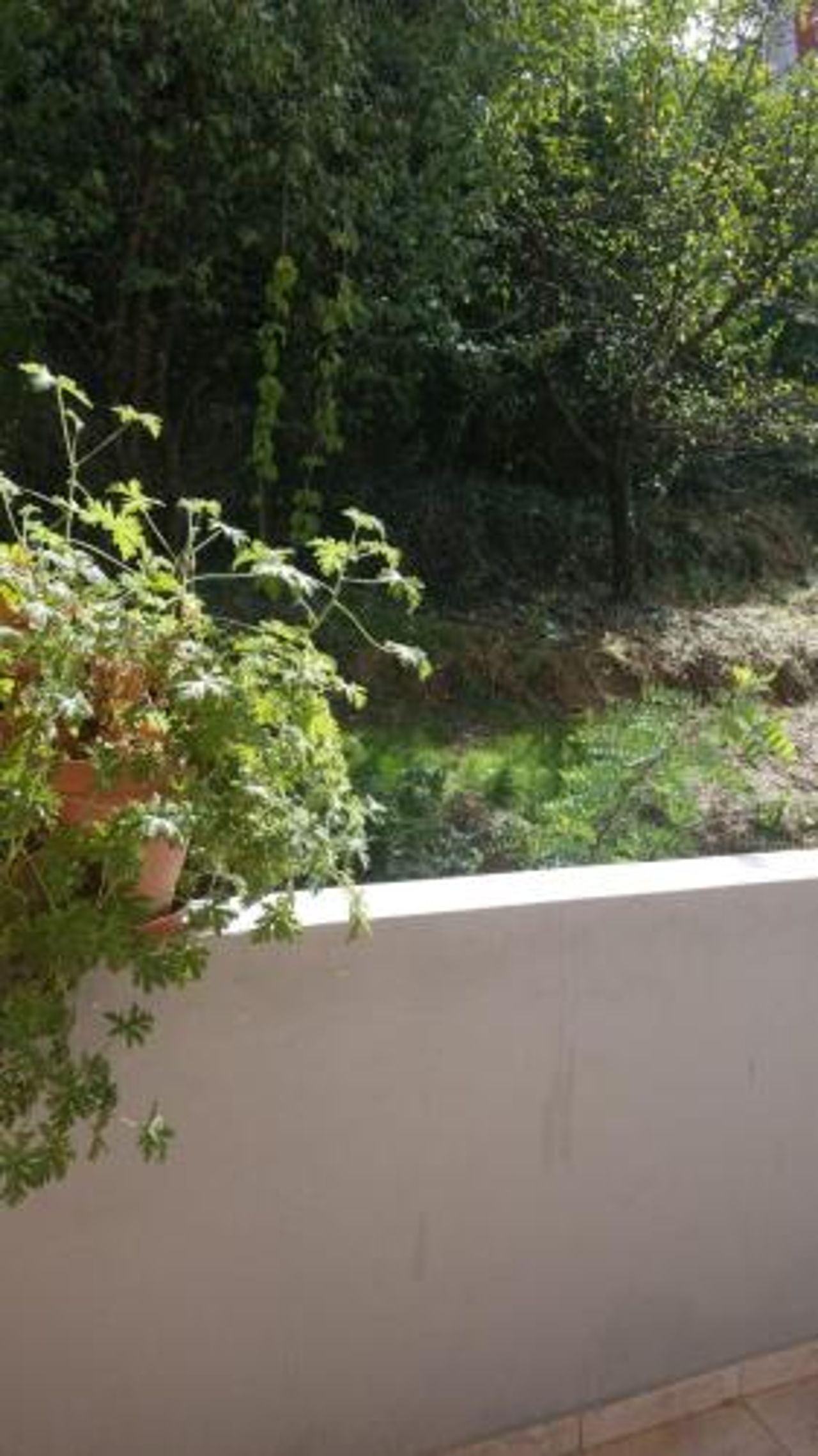 Guesthouse Nora