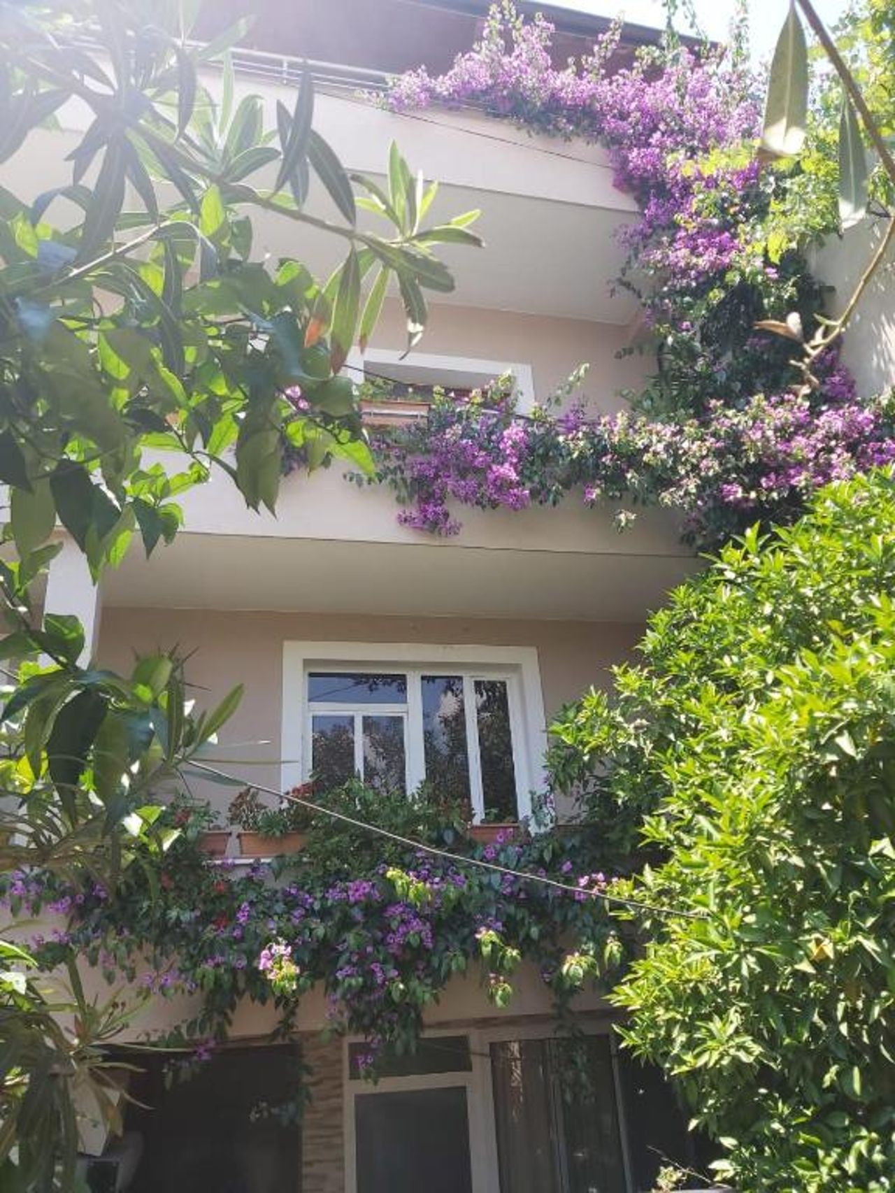 Flowers Guesthouse