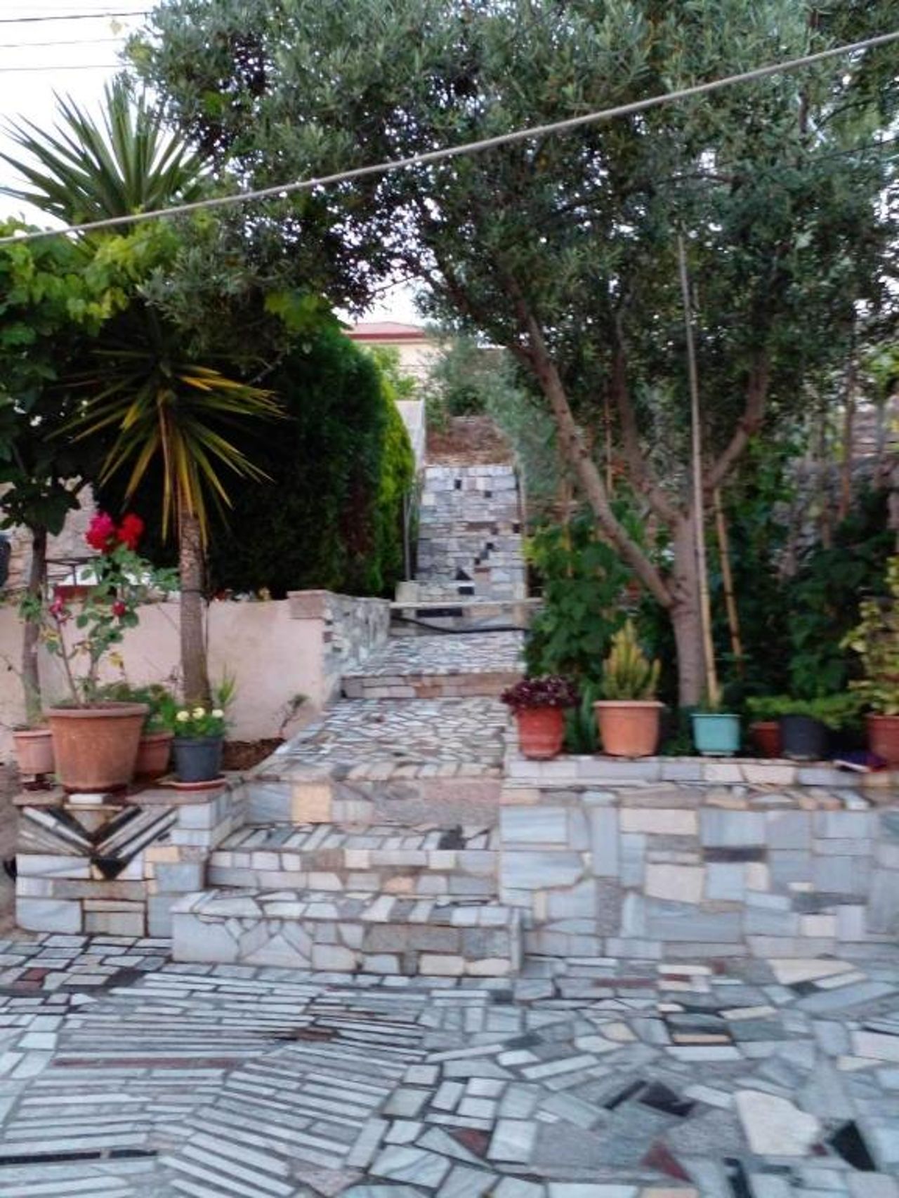 Flora’s place