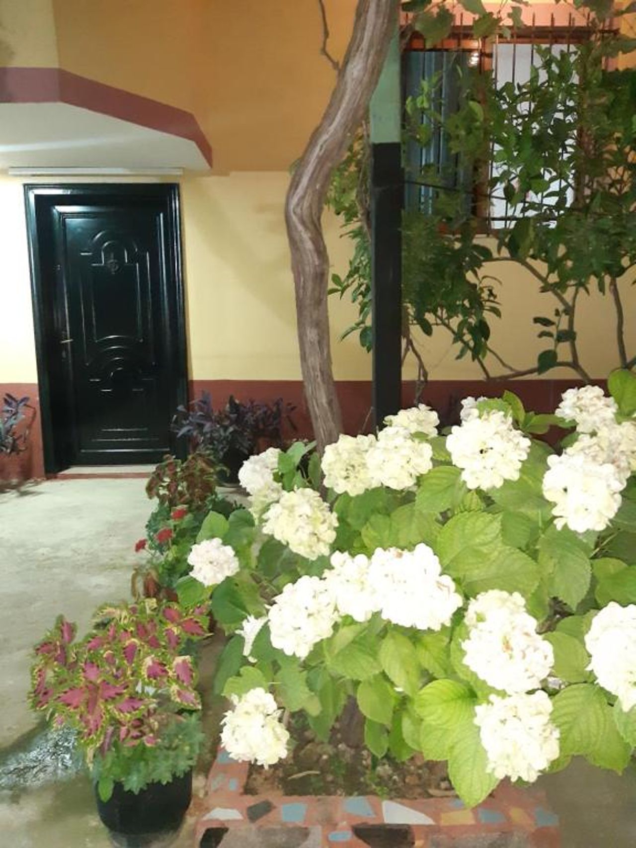 H&A Guest House