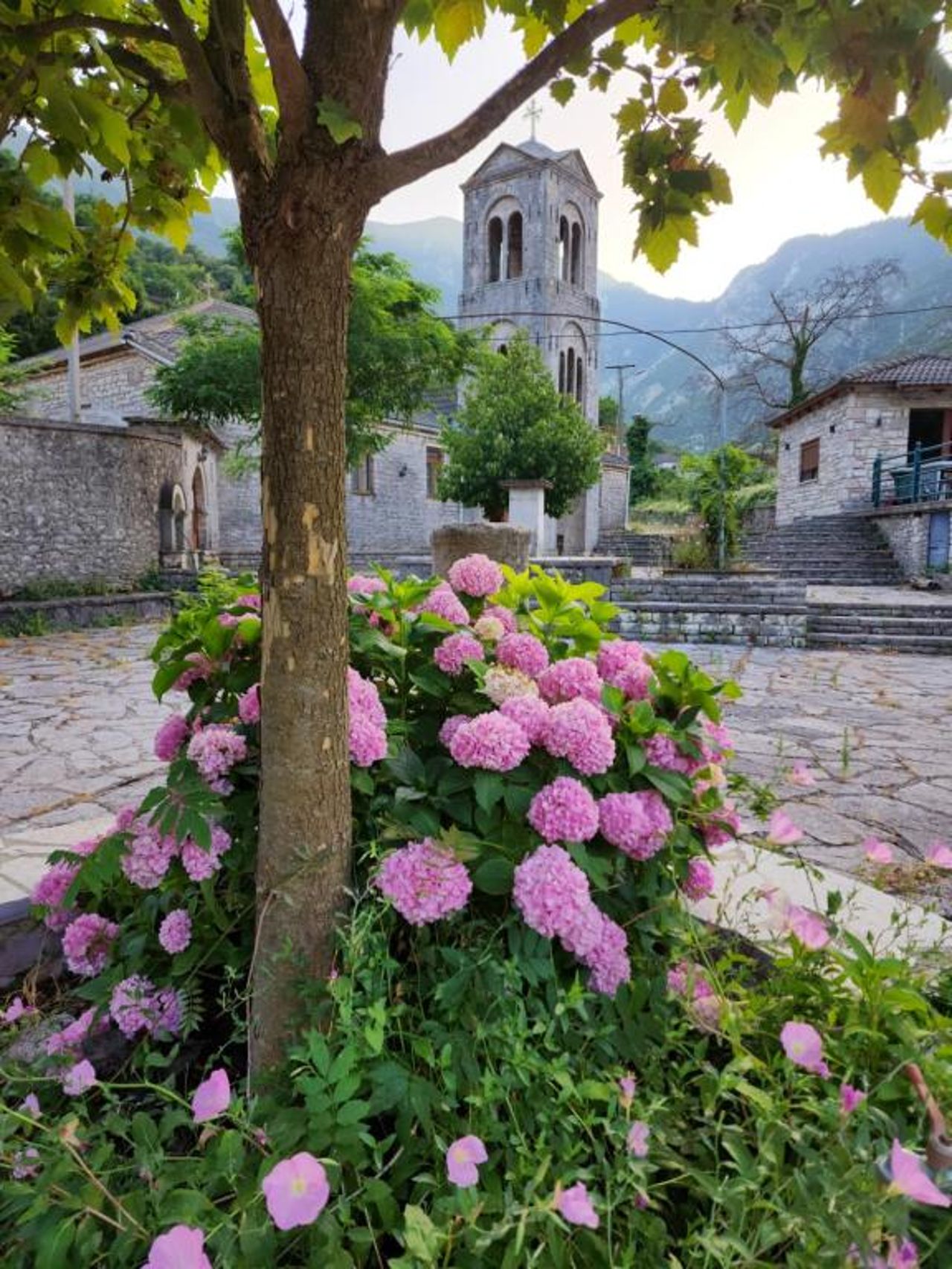 Guest House Seferi