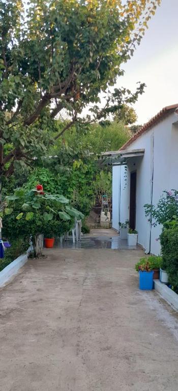 casa indipendente vicino al mare